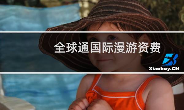 全球通国际漫游资费