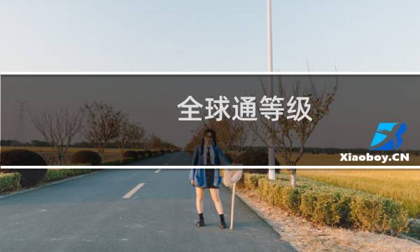 全球通等级