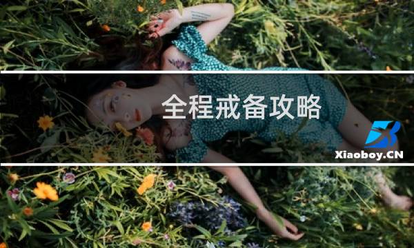全程戒备攻略