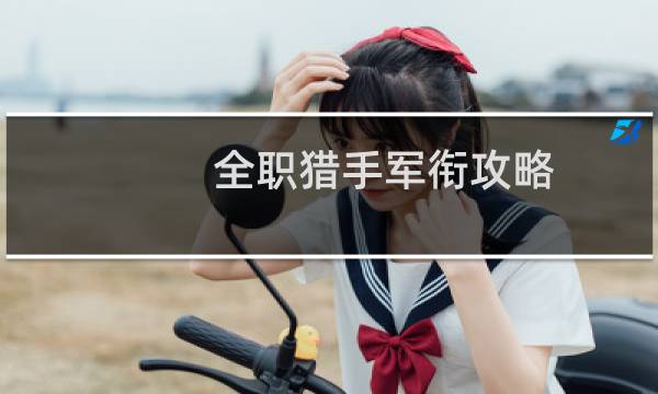 全职猎手军衔攻略