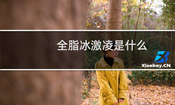 全脂冰激凌是什么