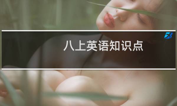 八上英语知识点
