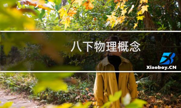 八下物理概念