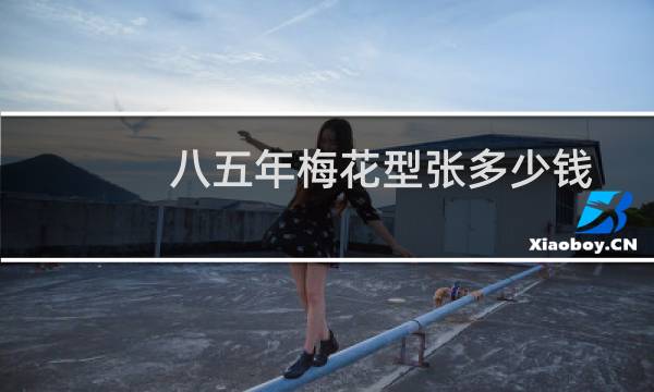 八五年梅花型张多少钱