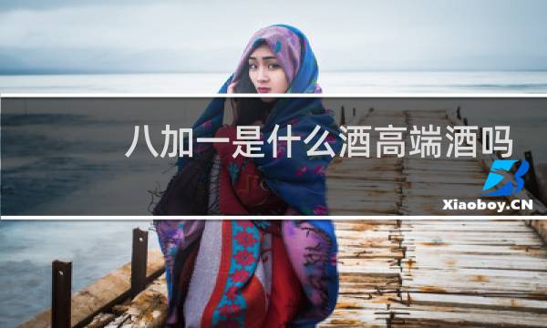 八加一是什么酒高端酒吗