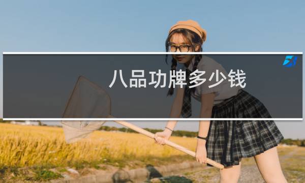 八品功牌多少钱