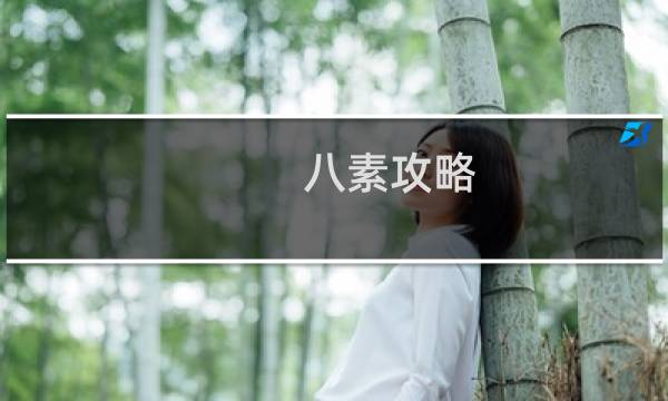 八素攻略