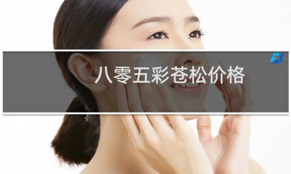 八零五彩苍松价格
