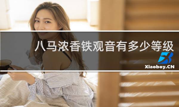 八马浓香铁观音有多少等级