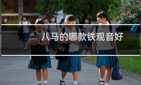 八马的哪款铁观音好