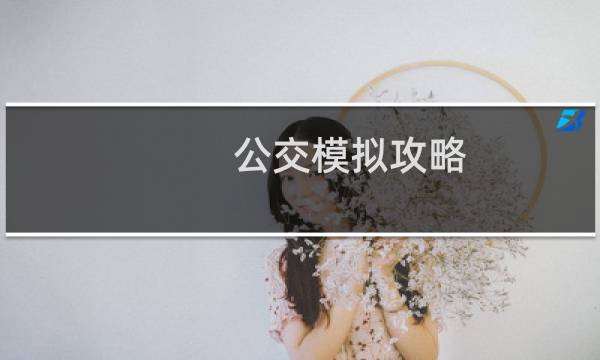公交模拟攻略