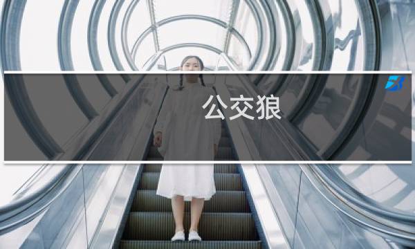 公交狼 攻略