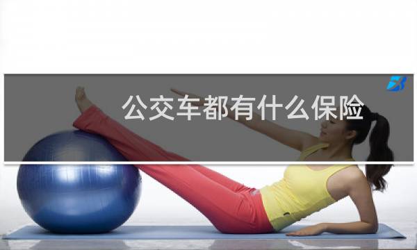 公交车都有什么保险