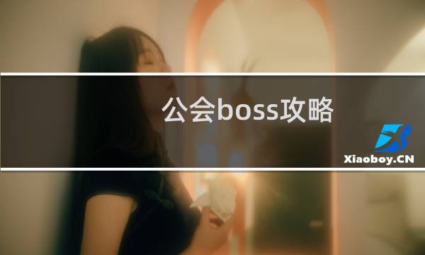 公会boss攻略