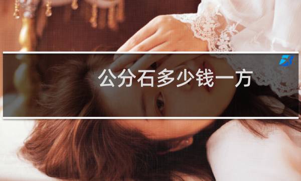 公分石多少钱一方