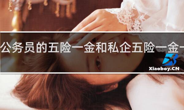 公务员的五险一金和私企五险一金一样吗