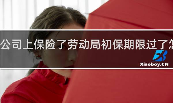 公司上保险了劳动局初保期限过了怎么办