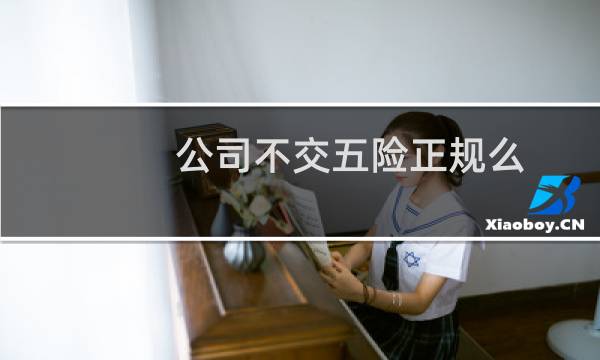 公司不交五险正规么