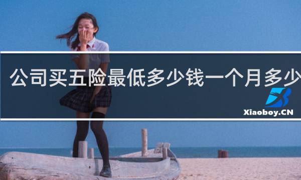 公司买五险最低多少钱一个月多少钱啊