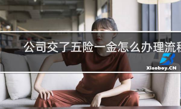 公司交了五险一金怎么办理流程