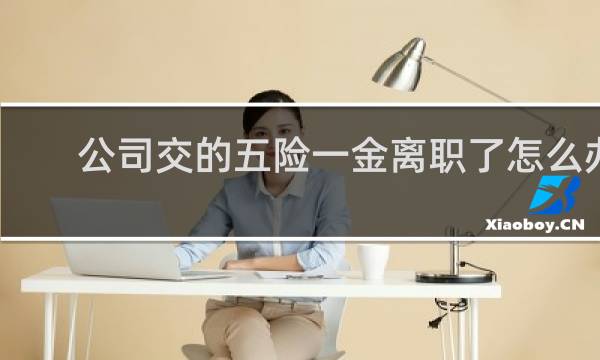 公司交的五险一金离职了怎么办
