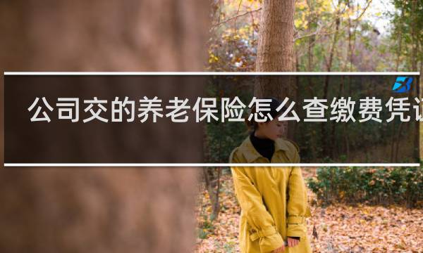 公司交的养老保险怎么查缴费凭证号