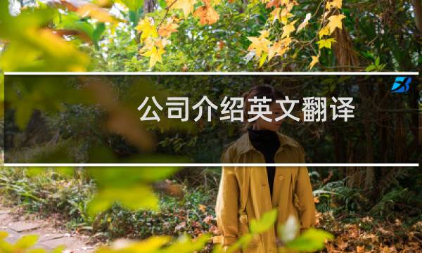 公司介绍英文翻译