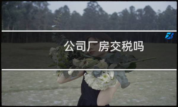 公司厂房交税吗