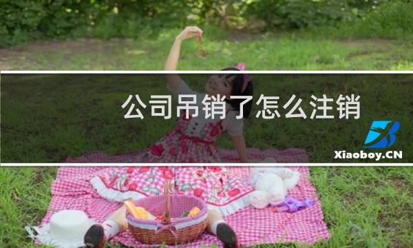 公司吊销了怎么注销