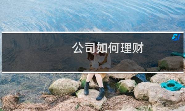 公司如何理财