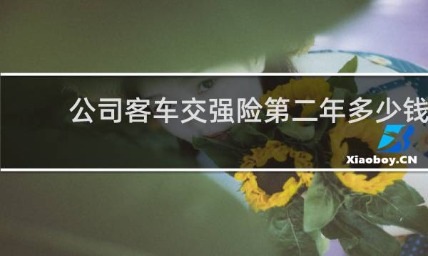 公司客车交强险第二年多少钱