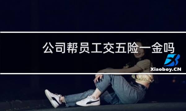 公司帮员工交五险一金吗