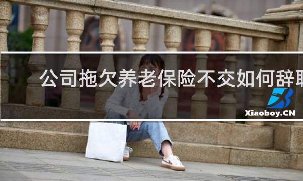 公司拖欠养老保险不交如何辞职