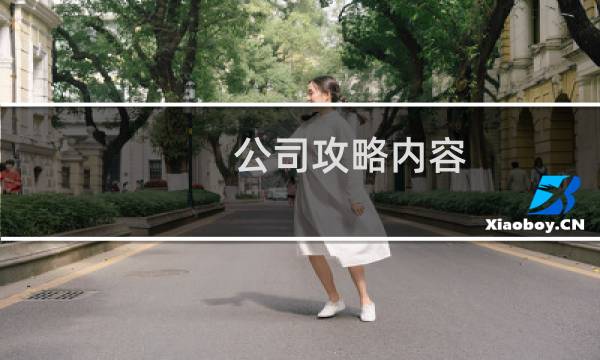 公司攻略内容