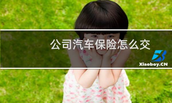公司汽车保险怎么交