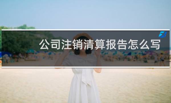 公司注销清算报告怎么写