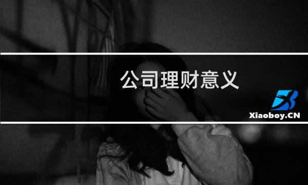 公司理财意义