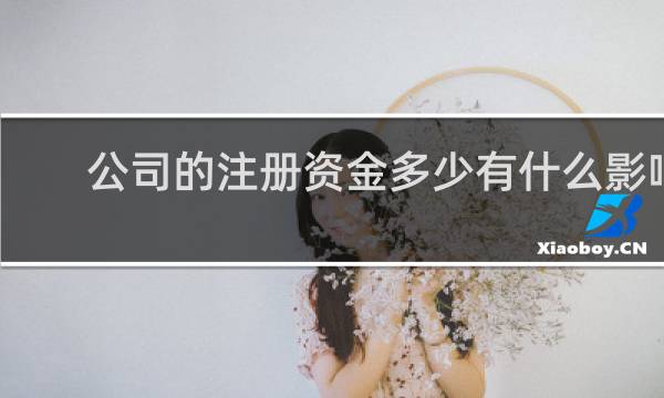 公司的注册资金多少有什么影响