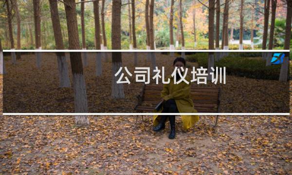 公司礼仪培训