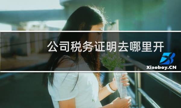 公司税务证明去哪里开