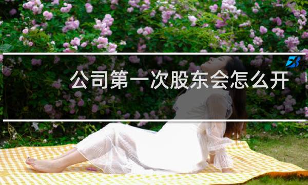 公司第一次股东会怎么开