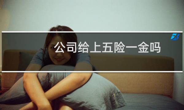 公司给上五险一金吗