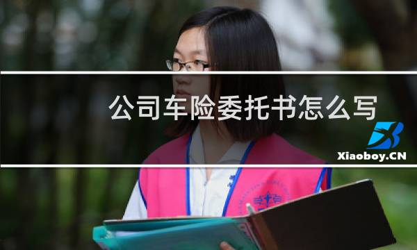 公司车险委托书怎么写