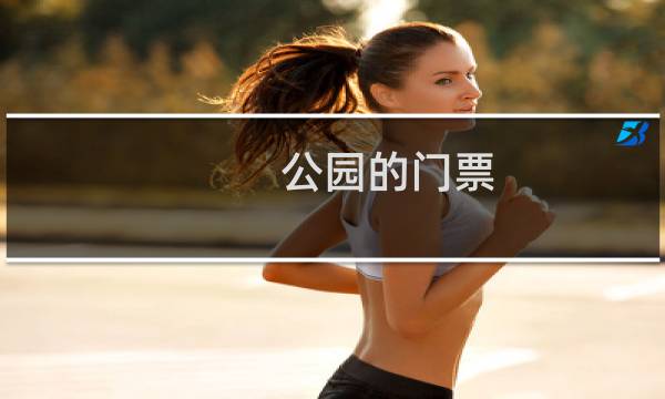 公园的门票