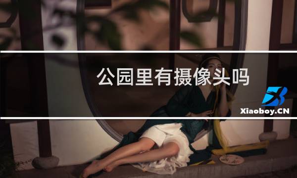 公园里有摄像头吗