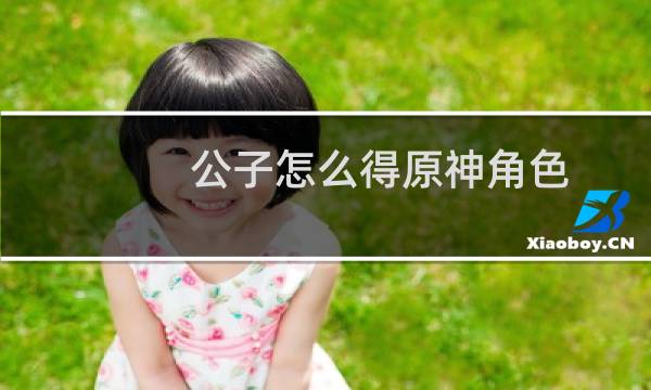 公子怎么得原神角色