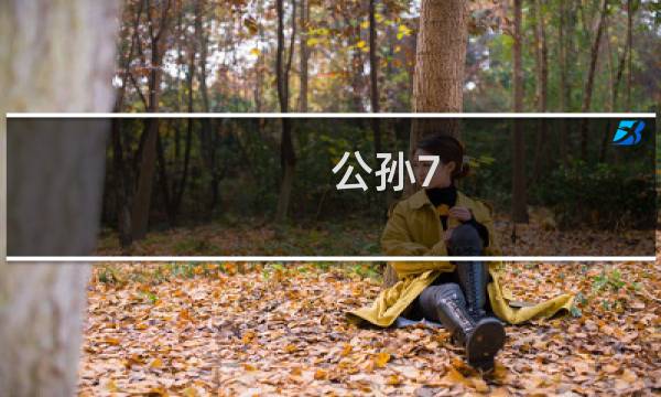 公孙7 攻略