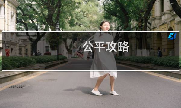 公平攻略