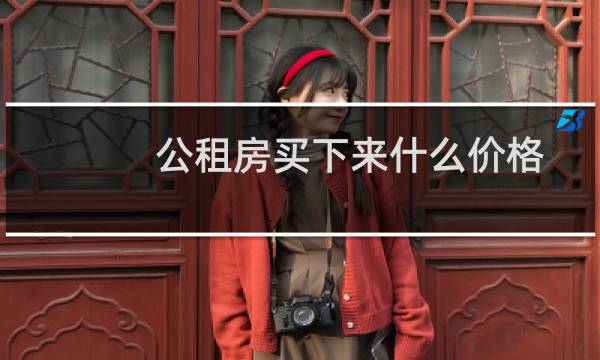 公租房买下来什么价格