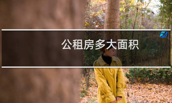 公租房多大面积